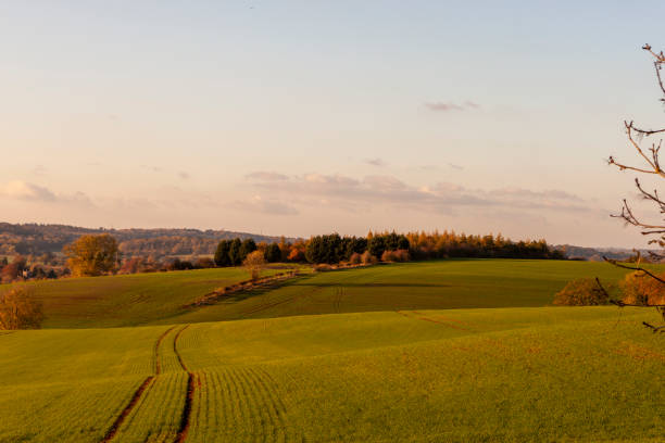 Alcester, Warwickshire, England