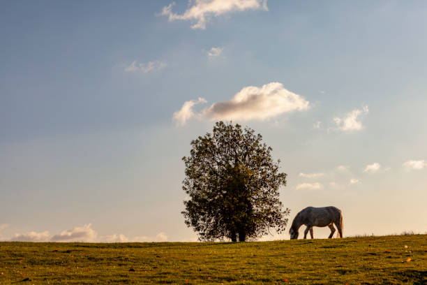 istock Bidford-on-Avon, Warwickshire, England 2053269073