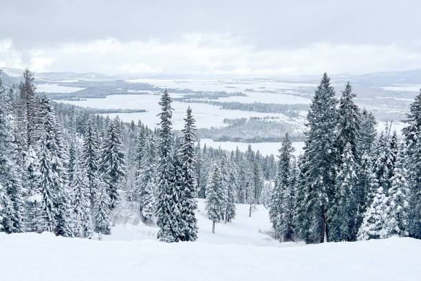 istock Fresh snow at Tamarack Ski Resort, Idaho 2053283636