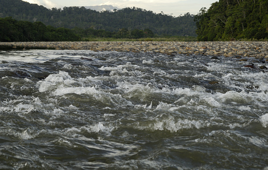Rapids on Rio Napo River in Amazon rain forest, near Ahuano, Mishuallí, Ecuador