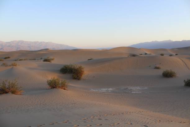 istock Mesquite Flat Sand Dunes at Dawn in Death Valley National Park 2053306724