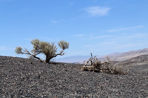 Death Valley National Park wide view