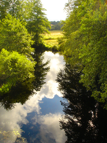 Furelos river seen from San Xoán de Furelos medieval  stone bridge  . Camino de Santiago, camino francés. Melide, A Coruña province, Galicia, Spain.