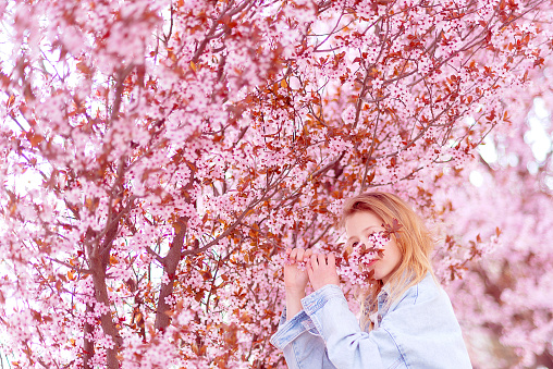 Young girl among beautiful cherry blossoms in full bloom