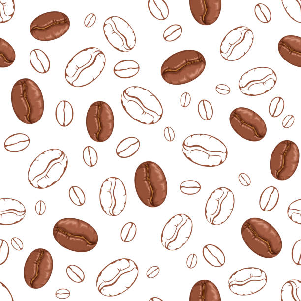 kaffee-hintergrund. nahtloses vektormuster mit braunen kaffeebohnen auf weißem grund. - coffee beans stock-grafiken, -clipart, -cartoons und -symbole