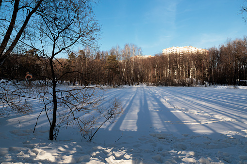 Winter landscape with snow and trees in the city park on a sunny day