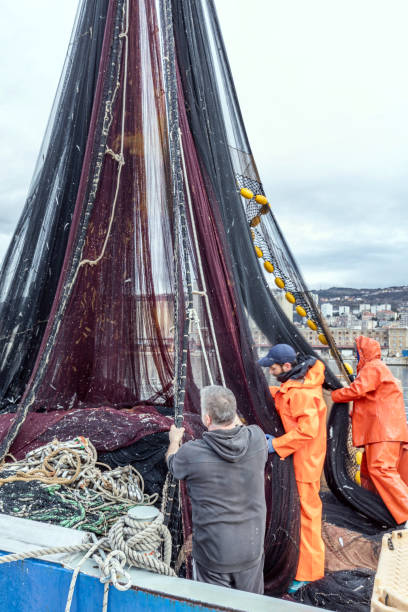Rijeka, Croatia - March 2, 2024: Fishermen stack their nets after a night's fishing