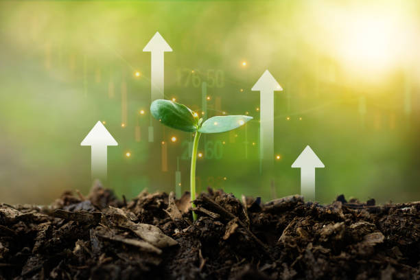 istock Globe crystal glass on the soil ground with growing tree and sunlight on green background for.Eco Nature friendly, world environment day.Bio CSR ESG ecosystems reforestation concept. 2053579115