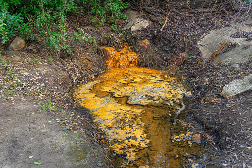 A pool of golden rusty color water from the ground