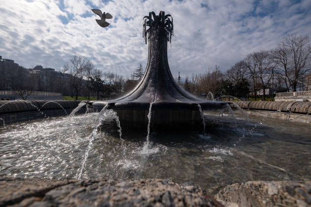 Taksim Gezi Park pool and pigeon