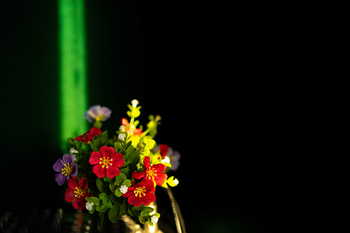 Flowers in a dark room with sunlight streaming through small holes.