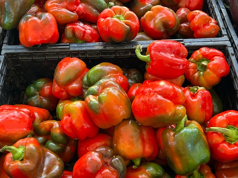 High angle closeup photo of freshly harvested capsicum on display in black plastic crates for sale on a market stall at the Farmer’s Market, Byron Bay, north coast NSW in Summer.