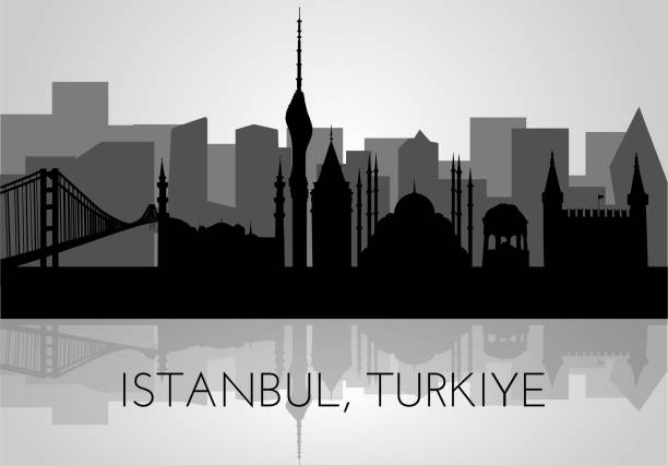 illustrations, cliparts, dessins animés et icônes de silhouettes of istanbul, vector illustration. famous architecture landmarks topkapi palace, sultanahmet mosque, german fountain, galata tower, tv tower, bosphorus bridge - abstract backgrounds architecture sunbeam