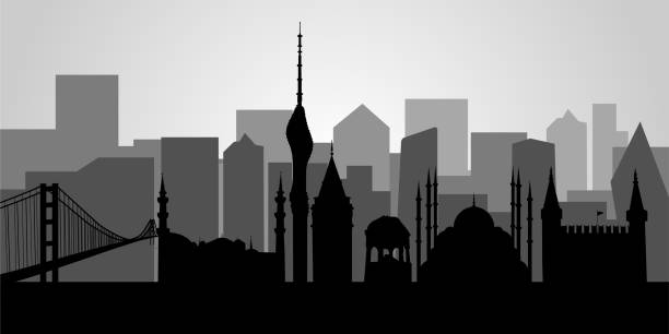 illustrations, cliparts, dessins animés et icônes de silhouettes of istanbul, vector illustration. famous architecture landmarks topkapi palace, sultanahmet mosque, german fountain, galata tower, tv tower, bosphorus bridge - abstract backgrounds architecture sunbeam