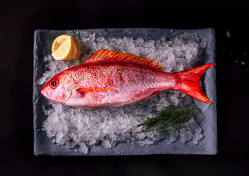 overhead angle of red snapper