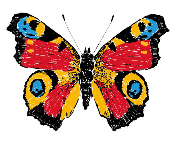istock Hand drawing of single colorful bright butterfly, vector illustration isolated on white 2053784493