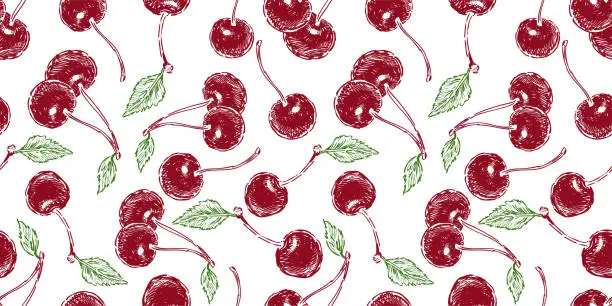 Vector illustration of Seamless pattern of drawn ripe red cherries berries with green leaves, vector background for textile, wallpaper