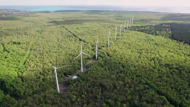 Wind turbines towering above the forest, showcasing sustainable energy, aerial view at dusk