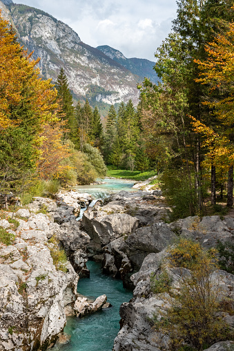 Soca, Slovenia - October 11, 2022 - The Soca river flowing through a wild mountain landscape of the Julian Alps, Slovenia