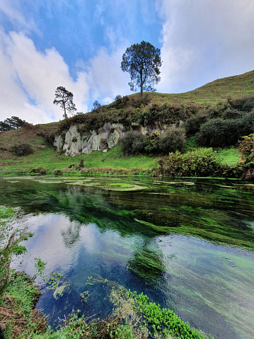 Te Waihou Blue Spring in New Zealand. This crystal-clear water spring offers a scenic landscape for adventure and travel tourism