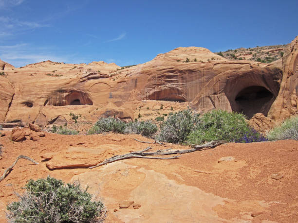 istock Caves of Bald Rock Canyon 2053984584