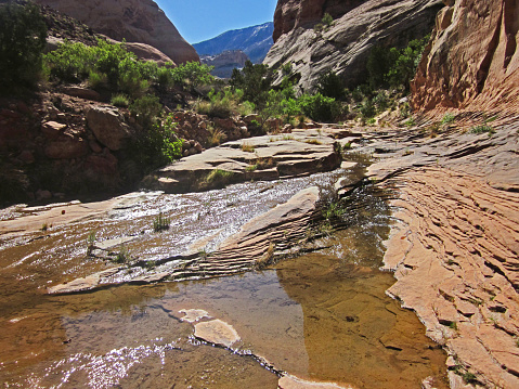 In the Springtime afternoon between the sandstone walls is the jagged streambed of Rainbow Bridge Canyon.