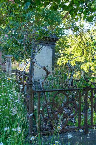 Wellington, New Zealand - December 23, 2022 - Old gravestones at Bolton Street Cemetery in Wellington, New Zealand