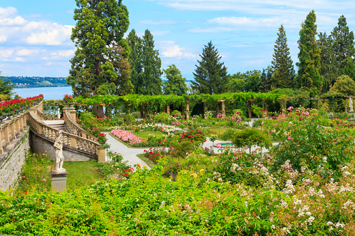 Mainau, Germany - June 28, 2023: Italian rose garden on the island of flowers Mainau on Lake Constance, Germany
