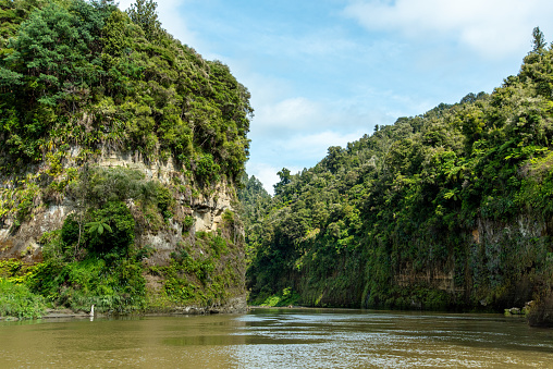 Tour on untouched Whanganui river and through surrounding jungle, North Island of New Zealand