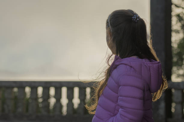 ragazza in un pomeriggio d'inverno in un punto panoramico che cerca di vedere la montagna - lookout mountaint foto e immagini stock