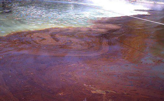 Valdez crude oil slick near Shore, brown