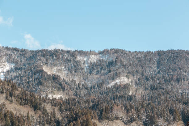 istock Vast countryside natural landscape covered in snow 2054311383
