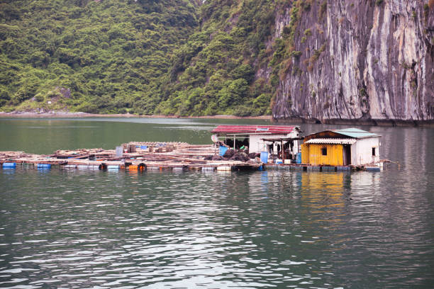 Floating villages in Cat Ba, Halong Bay, Vietnam.
