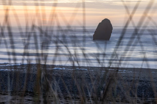 A rocky shoreline with a large rock in the foreground. The rock is partially obscured by the grass and the water. The scene has a peaceful and serene atmosphere