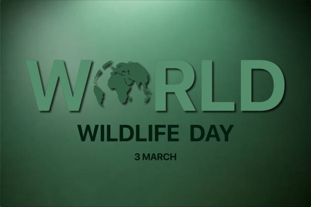 World Wildlife Day: An eye-catching vector illustration for World Wildlife Day with a wild-green backdrop and the earth globe icon ingeniously integrated into the event title. An eye-catching vector illustration for World Wildlife Day. The artwork showcases a green, wild backdrop with the earth globe icon ingeniously integrated into the event title. world title stock illustrations