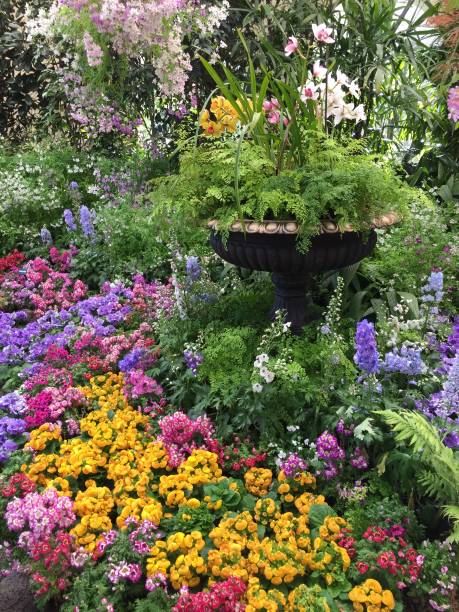 istock Flowers at Fitzroy 2054363652