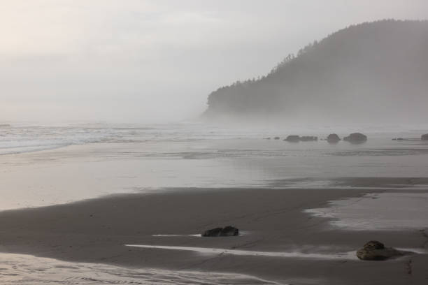 istock A foggy beach with a rocky shoreline 2054380093