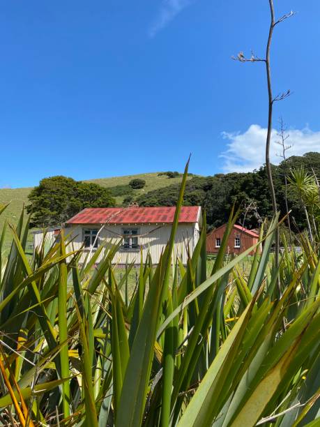 istock Urupukapuka Island Shed 2054387248
