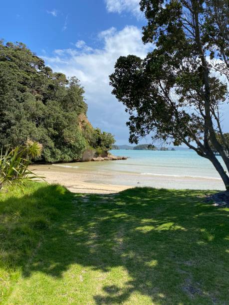 istock Urupukapuka Island Cove 2054431453