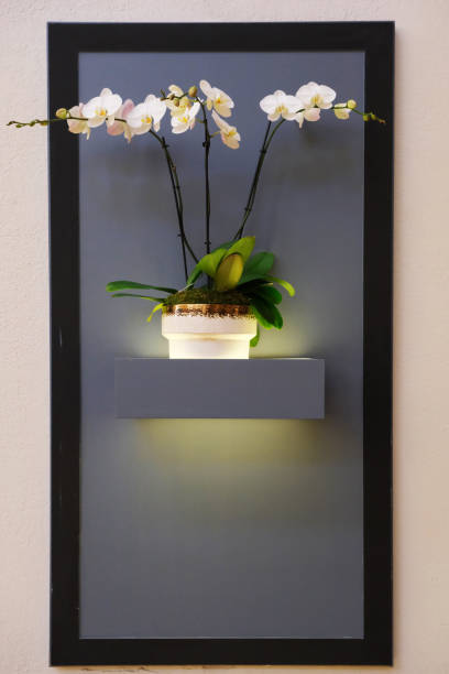 Orchids on the Wall decoration