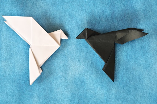 White dove and black rave paper origami in blue background. Good and evil, face fear and opposite attraction concept.