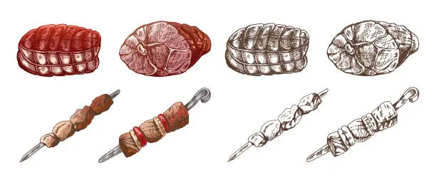 Vector illustration of Set of hand-drawn colored and monochrome sketches of meat pieces, ham, pork, dried meat, kebabs. Fresh meat products. For design of menu, butcher shop.