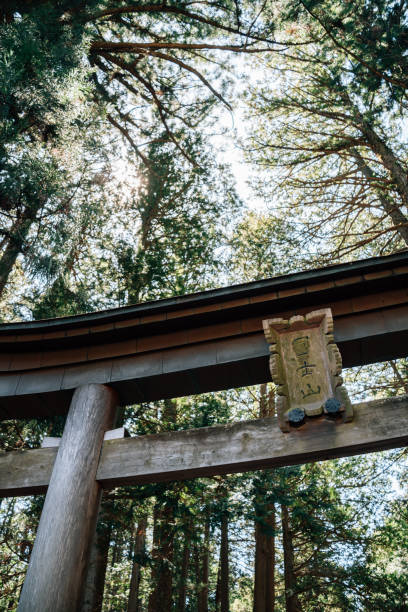 Fujiyoshida Kitaguchi Hongu Fuji Sengen Shrine Torii gate with green forest near Fuji Mountain in Yamanashi, Japan Yamanashi, Japan - April 9, 2023 : Fujiyoshida Kitaguchi Hongu Fuji Sengen Shrine Torii gate with green forest near Fuji Mountain shrine stock pictures, royalty-free photos & images