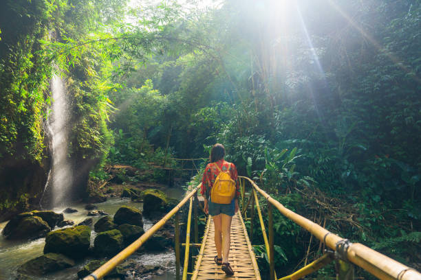 istock Woman walking near the refreshing waterfall on Bali 2054695496