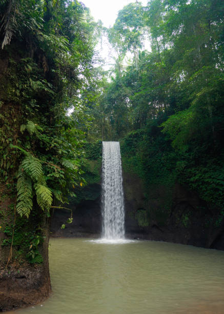 Scenic waterfall on Bali island surrounded by the jungles