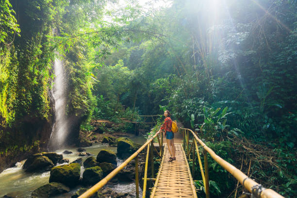 istock Woman walking near the refreshing waterfall on Bali 2054709519