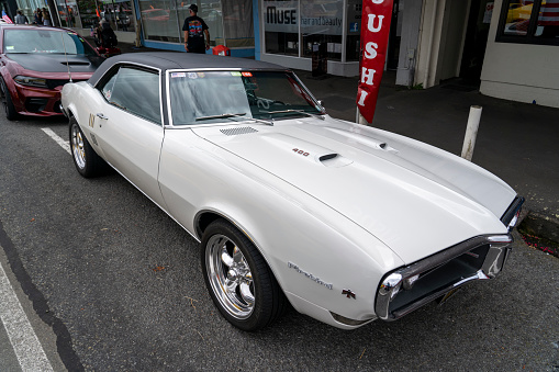 American Classic and Custom Cars at Americarna in Taranaki New Zealand. \nVarious makes, types and models from across the years both original, customised and repainted. Everything from Ford, to Chevy, and Plymouth to Pontiac.  \nA magnificent outside exhibition for the public to enjoy free.