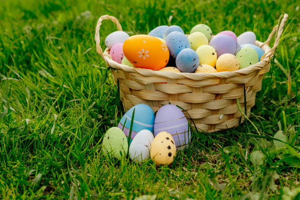 istock Happy Easter. Basket with Easter eggs in grass on a sunny spring day - Easter decoration, banner, panorama, background with copy space for text 2054761795