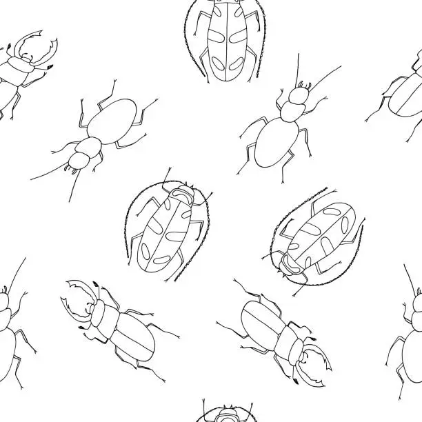Vector illustration of beetles seamless pattern hand drawn in doodle style. simple, minimalism,