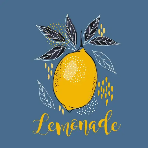 Vector illustration of Lemon vector drawing. Citrus fruit square label template. Hand drawn summer illustration.